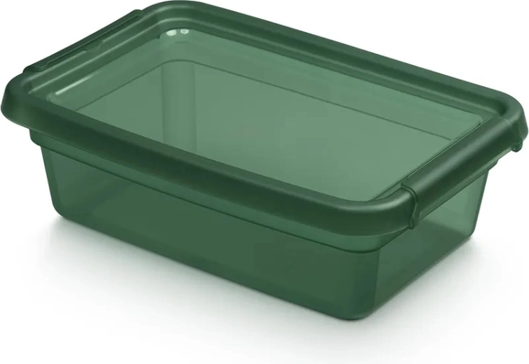 BASESTORE úložný plastový box s víkem a klipsy 3 l pine