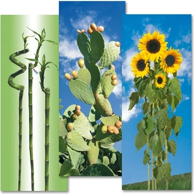 Gimi bavlněný potah na žehlicí prkno i love s/m 129 × 48 cm