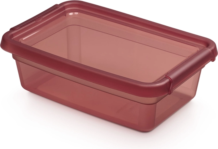 Basestore úložný box s víkem a klipsy 3 l, 19 × 28 × 9 cm, rhubarb