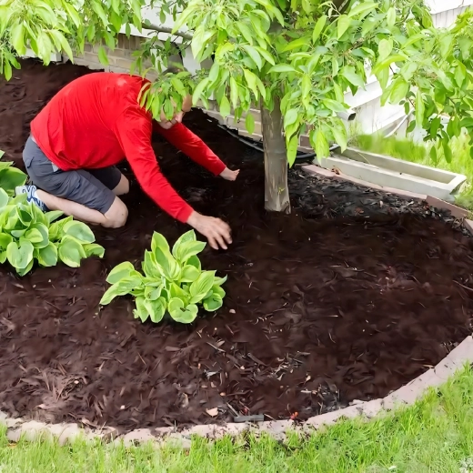 Zahradní textilie proti plevelu 70 g/m², 1,1 × 50 m, černá, UV stabilizovaná