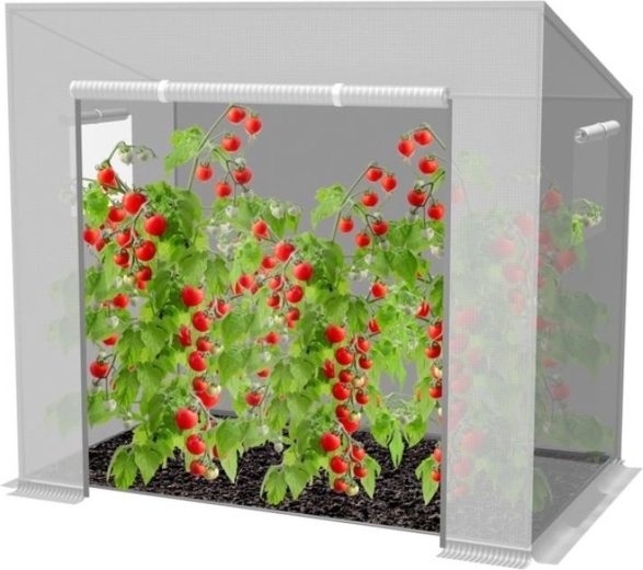 Bílý fóliovník na rajčata 200 × 77 × 168/146 cm