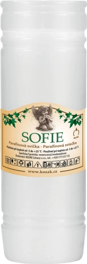 Náhradní hřbitovní svíčka 18 cm, bílá, parafín