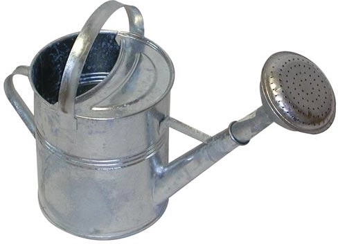 Zahradní pozinkovaná konev 5 l s růžicí