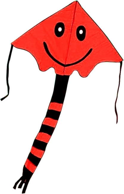 Létající drak s úsměvem 80 × 60 cm