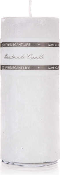 Brzdový kotouč pro automobily BREMBO 262 mm