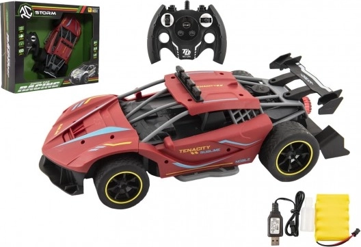 RC sportovní auto 2,4 GHz s dobíjecí baterií