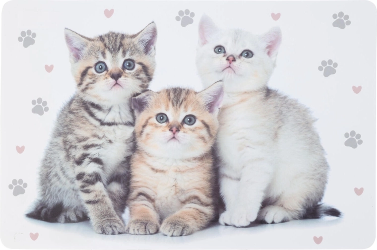 Plastové dětské prostírání se zvířaty 43,5 × 28,5 cm