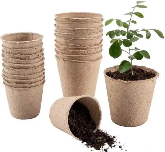 Papírové sadbovače 6 × 6 cm, balení 36 ks