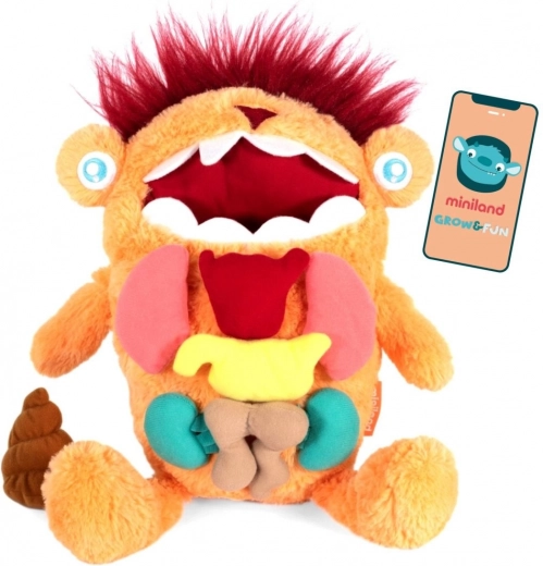 Vzdělávací hračka Kreatura - Objev úžasné nitro