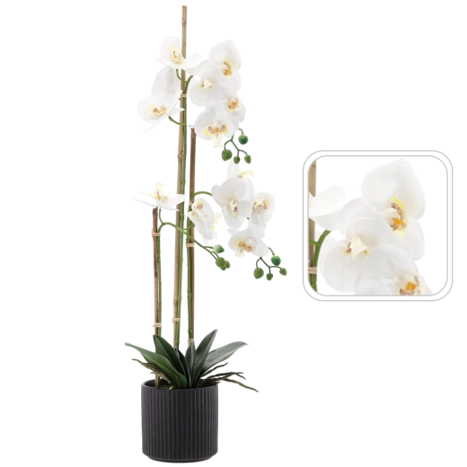 Umělý bílý orchidej 77 cm v černém květináči