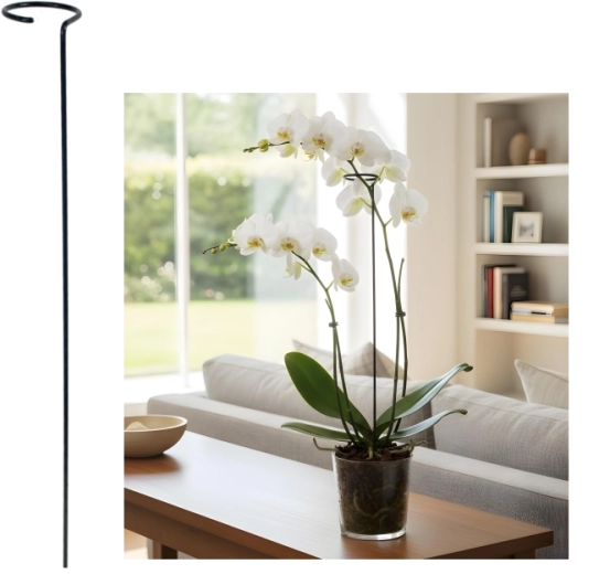 Jednoduchá opora pro rostliny 60 cm