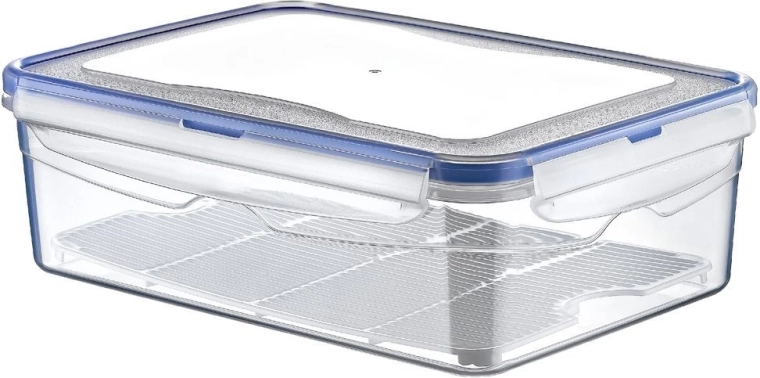 Plastový box na potraviny s víkem a těsněním s mřížkou 4,3 l