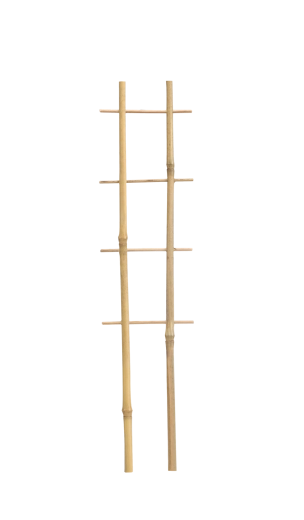 Bambusová dvojitá opora pro rostliny 37 cm