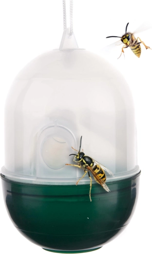 Lapač vos plastový transparentní/zelený 8 × 11 cm