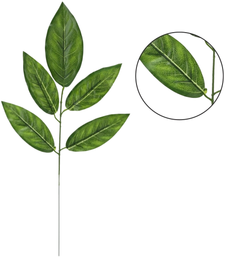 Sada umělých větviček manga, 59 cm, zelené (12 ks)