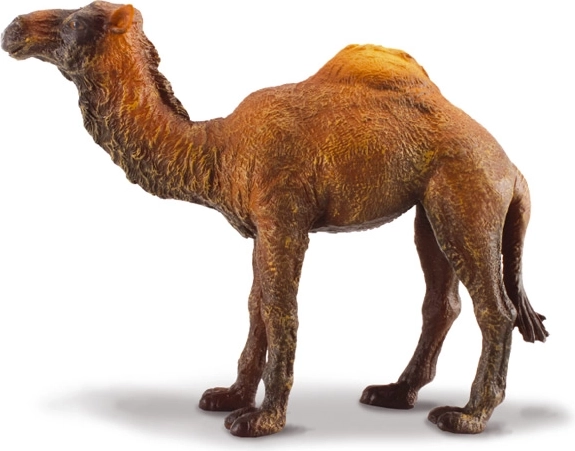 Dromedár figurka Collecta