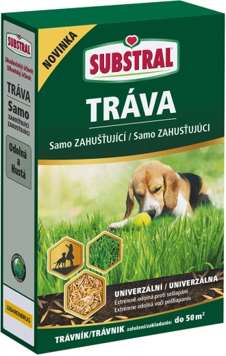 Samozahušťující travní směs EVERGREEN 1 kg
