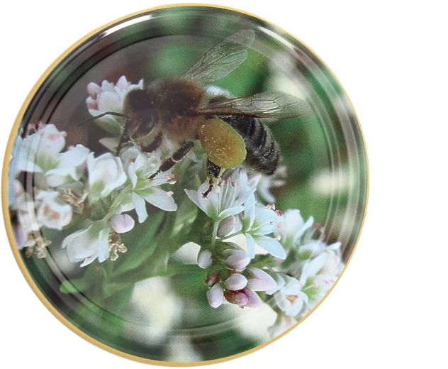 Sada víček Twist-off 82 mm s motivem včely – 10 ks