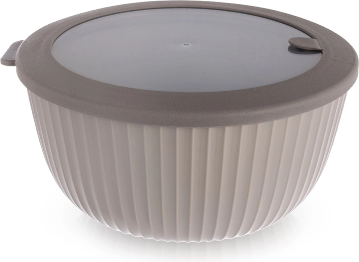 Kuchyňská mísa s víkem 21 cm, 2,5 l