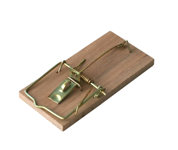 Dřevěná past na myši BROS, 2 ks