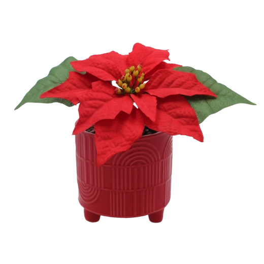 Syntetická vánoční poinsettie v keramickém květináči 9 × 17 cm