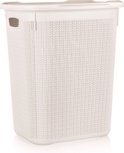 Koš na špinavé prádlo ratanový 50 l, krémový