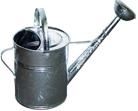 Zahradní pozinkovaná konev 9 l s růžicí