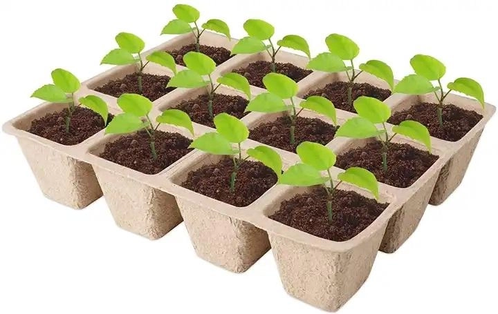 Papírový sadbovač 21 × 17 × 5 cm – balení 5 ks