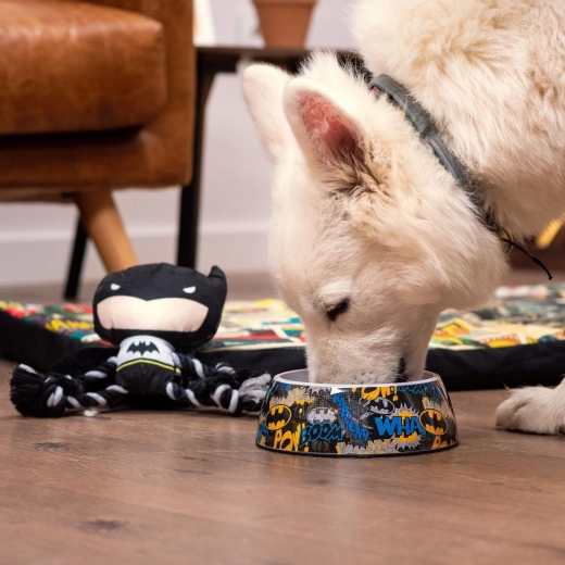 Miska pro psy Batman M – Velikost: M