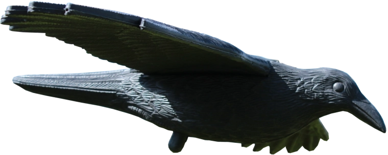 Odstrašovač ptáků krkavec 80 × 44 × 12 cm