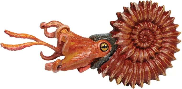 Safari Ltd. amonit – ručně malovaná figurka