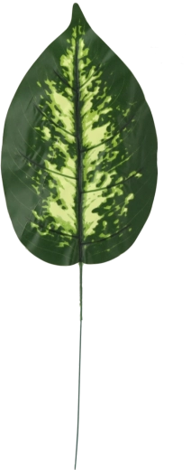 Sada umělých větviček diefenbachie, 12 ks