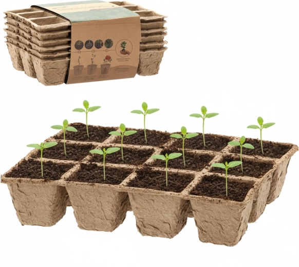 Sada 6 biodegradabilních pěstebních paletek 21 × 17 × 4,5 cm