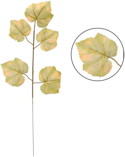 Umělá větev s bukovými listy 57 × 20 cm, zelená (balení 12 ks)