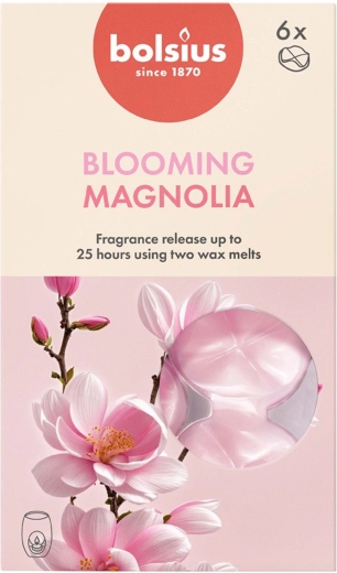 Vonné vosky magnolie, sada 6 ks