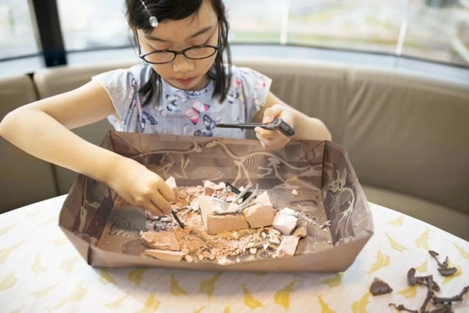 Vykopávací sada Brachiosaurus – kostra dinosaura pro děti