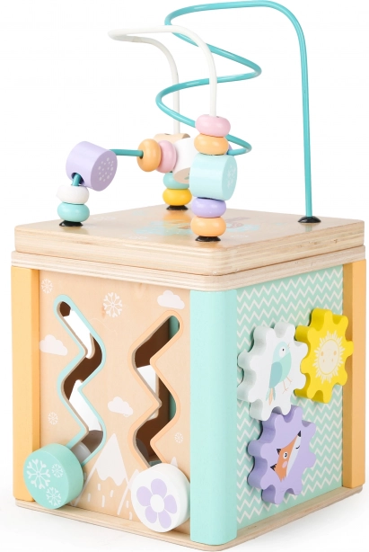 Dřevěná vzdělávací kostka Ecotoys