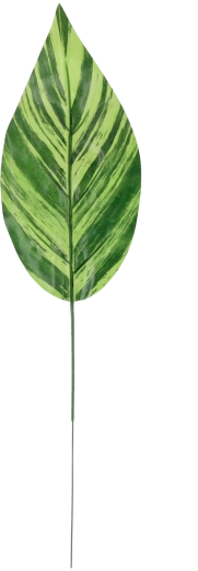 Sada 12 umělých zelených větviček 48 × 12 cm