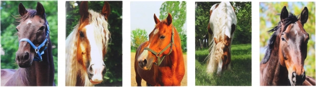 Blok s motivem Koně MINI 40l, 6x8,5 cm