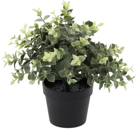 Umělý eukalyptus v květináči 22 cm