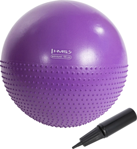 Masážní gymnastický míč HMS yb03n 55 cm fialový