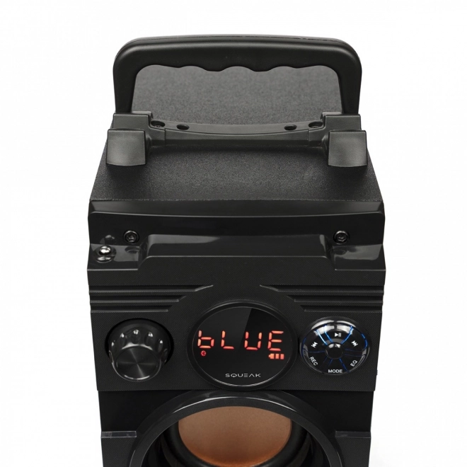 Bluetooth 5.1 reproduktor BassBlaster SQ1001 18W