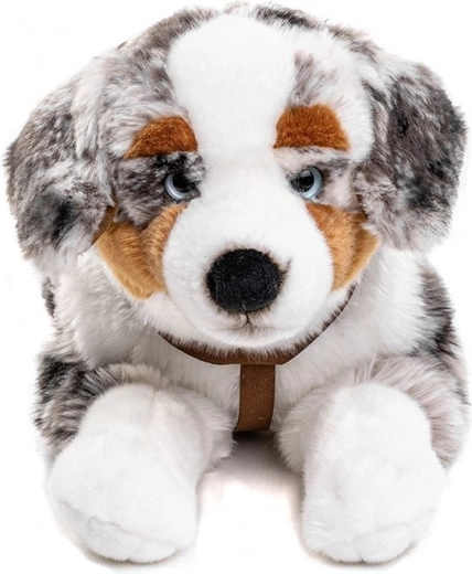 Kšíry pro více zábavy