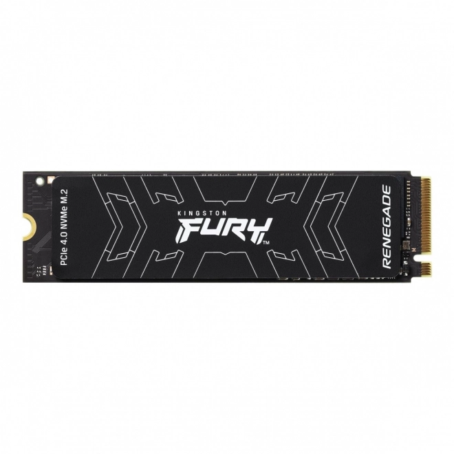 SSD FURY Renegade 1000G PCIe 4.0 NVMe M.2