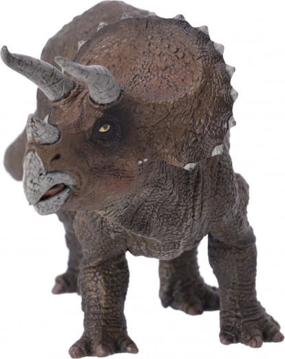 Perfektní pro všechny věkové kategorie