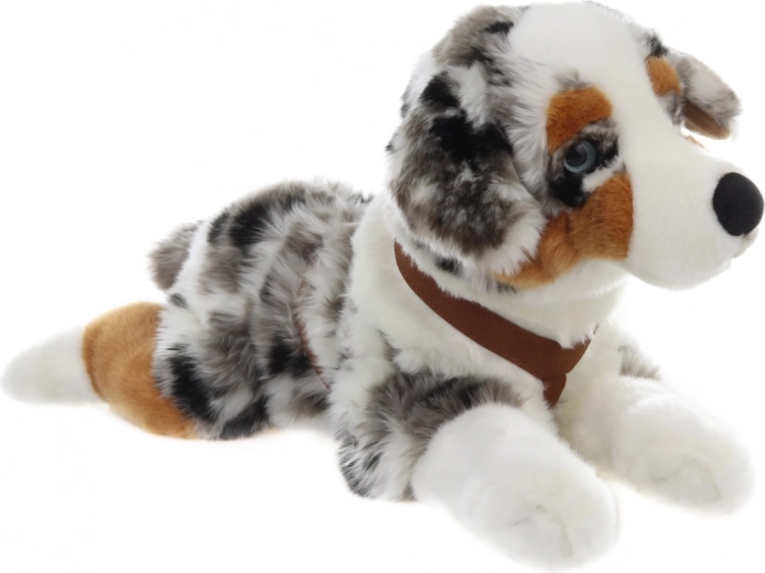 Realistický vzhled australského ovčáka