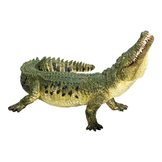 Realistické zpracování