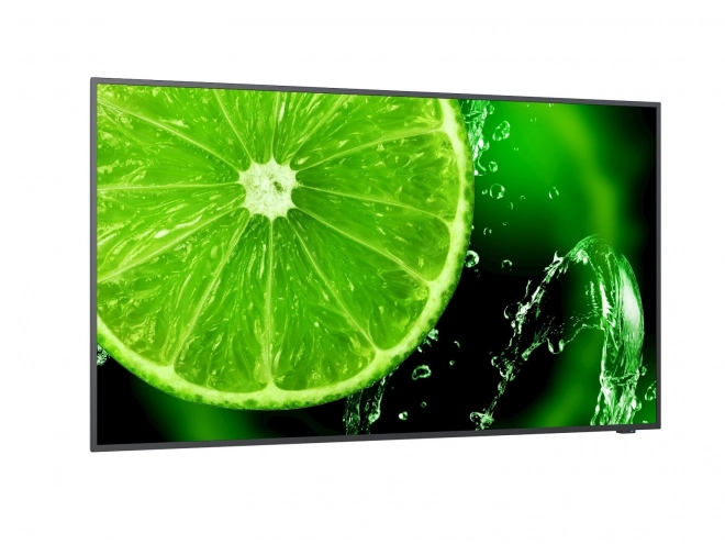 Monitor MultiSync 32 FHD