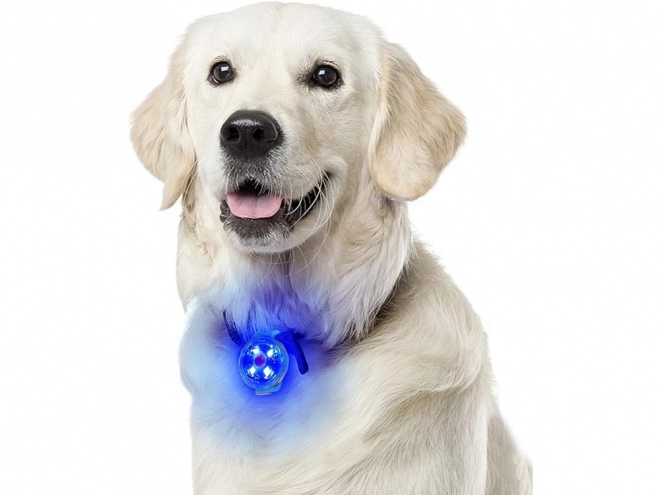 LED světlo pro obojek s USB nabíjením pro psy a kočky