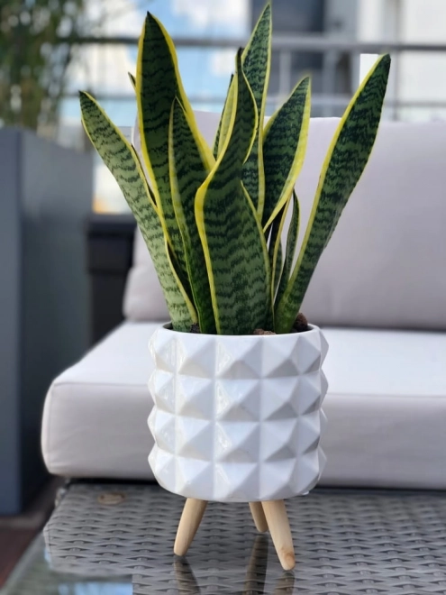 Dřevěný stojan na květináč nebo obal 9 cm